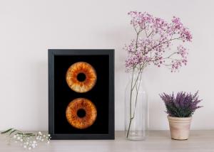 Фотография Oh, my eyes 5