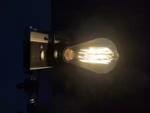 Фотография Птичка 0